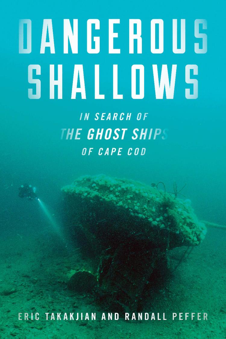 Dangerous Shallows cover