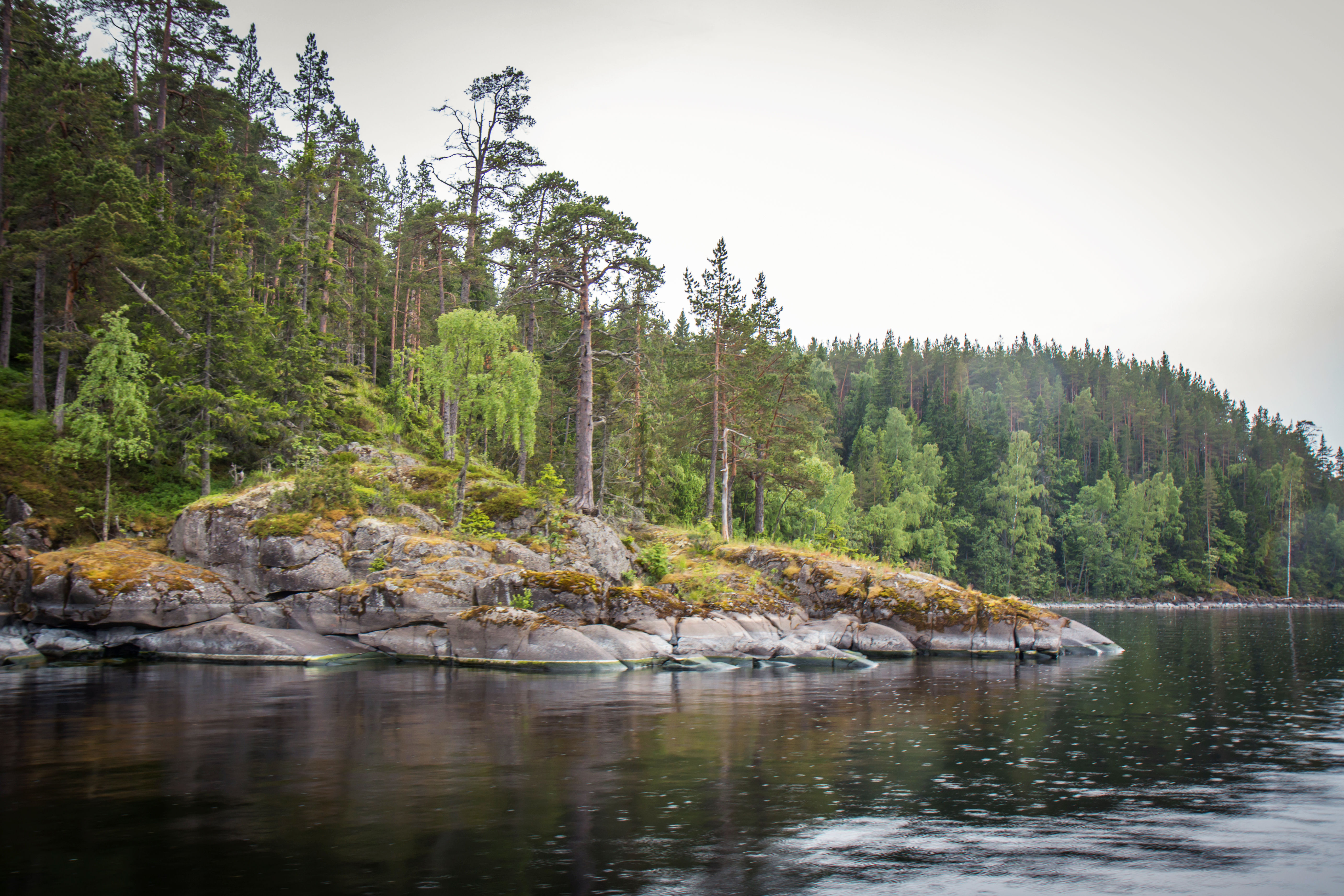 Picturesque skerries of Lake Ladoga are a hallmark of the Russian North. Photo by Stanislav Trofimov.