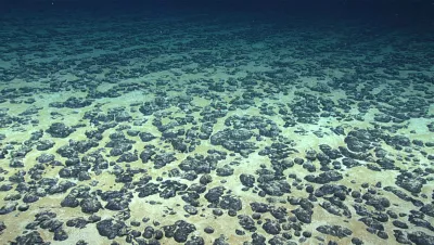 Deep seafloor covered with manganese nodules