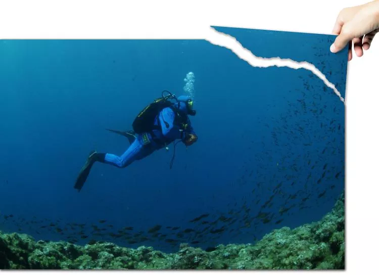 Beware of corner cutters. Underwater photo by Peter Symes