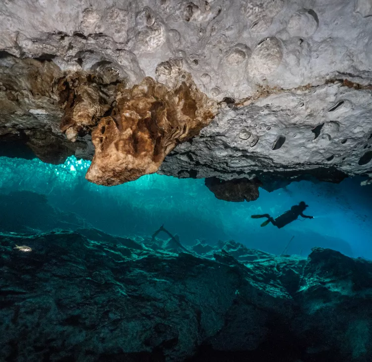 Ponderosa cenote