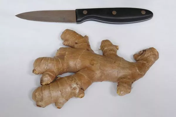 Ginger is a popular remedy against motion sickness